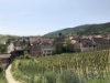 im Weinstädtchen Riquewihr im Elsass